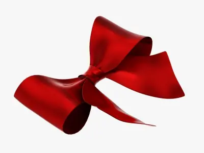 Wrapping bow 03 3D model
