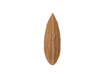 Photorealistic Almond 3D Scan 3D model