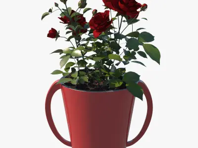 Red Rose Pot 3D model