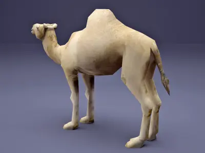 Low Poly Camel Model Low-poly 3D model