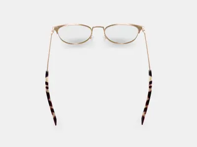 Ava Eyeglasses in Polished Gold with Brushed Navy 3D model