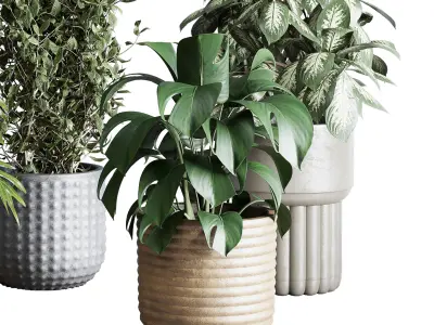 Collection indoor plant 277 pot concrete dirt vase 3D model