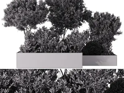  Outdoor Plants - 5 Plants in box 3D model
