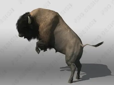 Buffalo bison - bison Low-poly 3D model