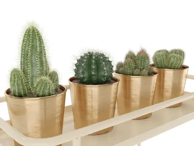 IKEA KRYDDPEPPAR with cactus and BITTERGURKA Watering can 3D model