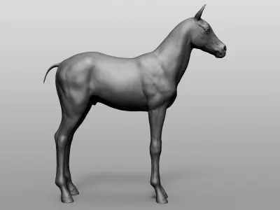 Domestic Baby animal collection 3D model