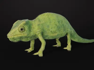 Chameleon Low-poly 3D model