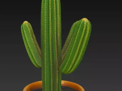 Cactus Pot Plant 3d Model 3D model