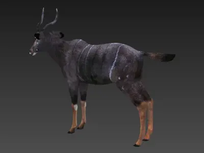 antelope Low-poly 3D model