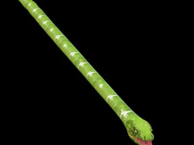 Green Snake Rig 3D model
