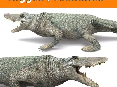 crocodile Rigged  animated 3D Model Low-poly 3D model
