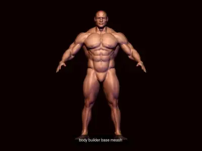 base mesh collection  3D Model Pack