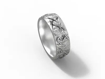 Ring Noise  3D print model