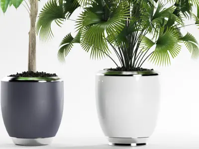 palm plants 139 3D model