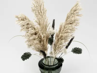  Bouquet04 dry pampas and grass 3D model