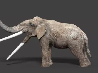 stegotetrabelodon elephant with two tusks 3D model