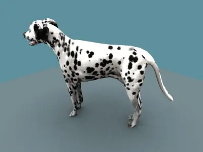 DALMATIAN DOG  Low-poly 3D model