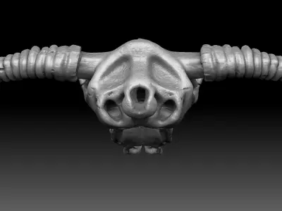 Cow Scull 3D print model
