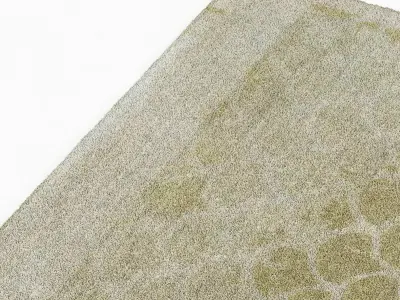 Brabbu KOI RUG 3D model