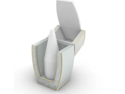 SHAMPAGNE BOX 3D model