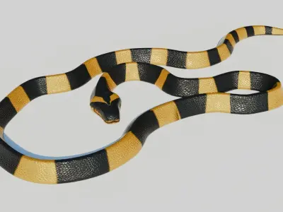 Rigged Banded Krait - Game Ready - PBR Low-poly 3D model