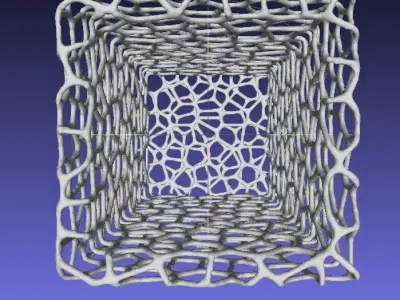 Box Voronoi 3D model