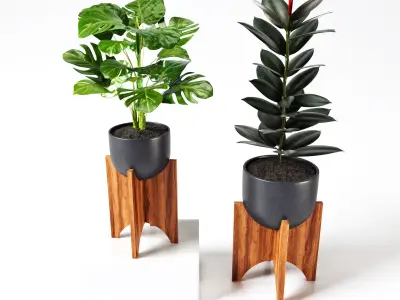 plant collection set 03 3D model