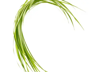 Curved Grass Blades model pack Low-poly 3D model