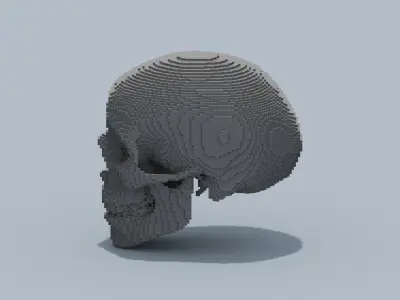 Voxel Skull 3D model