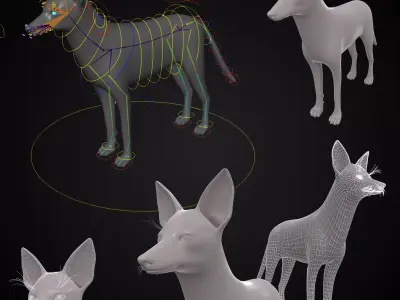 Realistic jackal animal 3d model  3D model