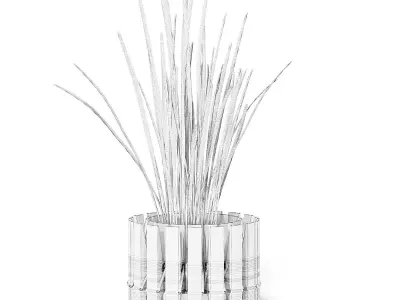 Plant 3D Model with Clothes Peg Pot 3D model