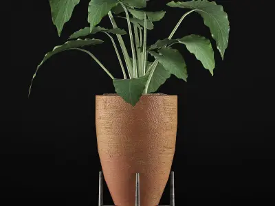 Plants Collection 50 3D model