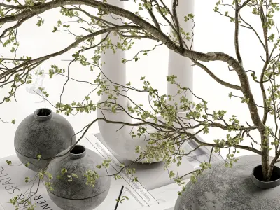 Decorative Set 03 3D model