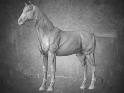 Horse - B6 3D model