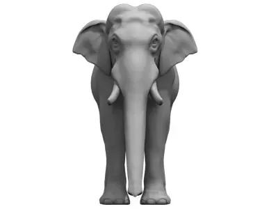 elephant 3d model 3D model purchase