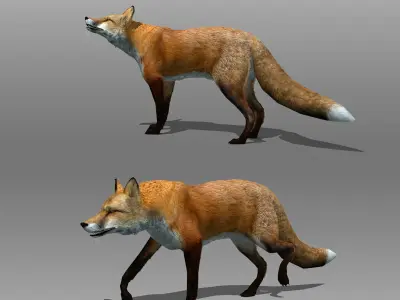 Red and Black Fox Low-poly 3D model