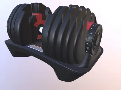 Adjustable Dumbbell 3D model
