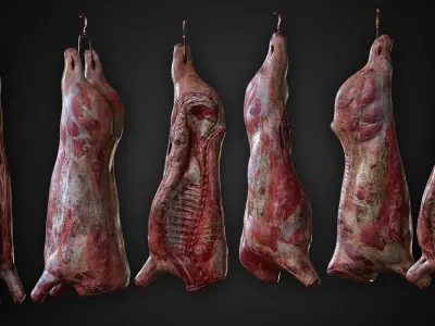 Carcasses Low-poly 3D model