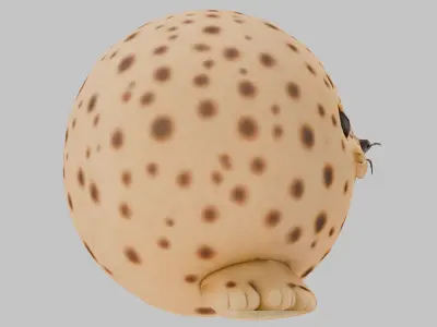 Cute 3D Seal Model 3D model