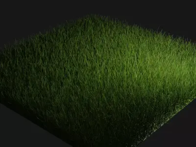 A tile of grasspatch Free 3D model