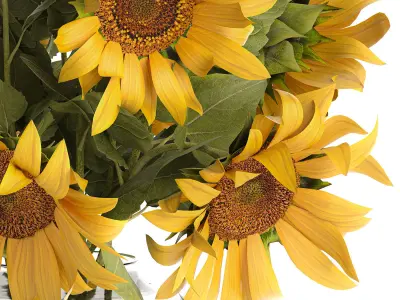 Bouquet Of Yellow Sunflowers In A Glass Vase 3D model