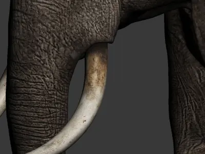 Elephant walk 3D model