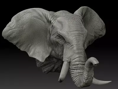 Elephant Wall Decoration Medium 3D Print Model 3D print model