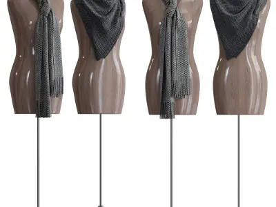 Shawl over the body 3 3D model