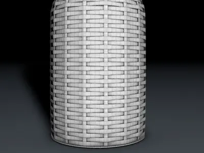 Bottle in weaving 3D model