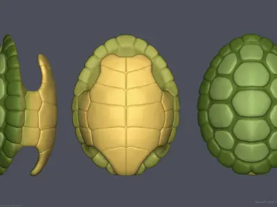 Stylized Cartoon Turtle Shell 3D model
