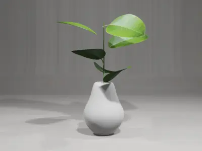 Decorative Plants 3D model