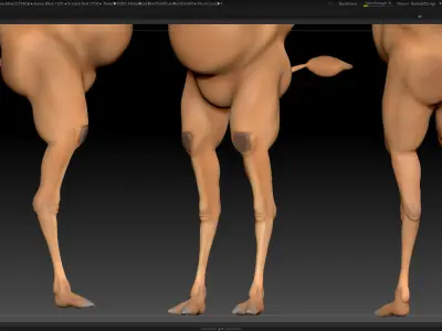 ZBrush Camel Character Base Mesh 3D model