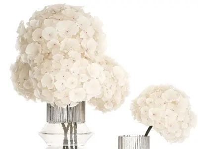 Solemn bouquet of white flowers in a vase with hydrangea 370 3D model