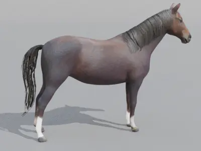 Realistic 3D Horse Model Low-poly 3D model
